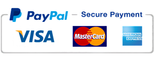 paypal (3)